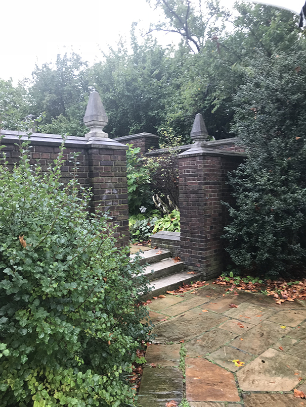 A gate bedecked in foliage